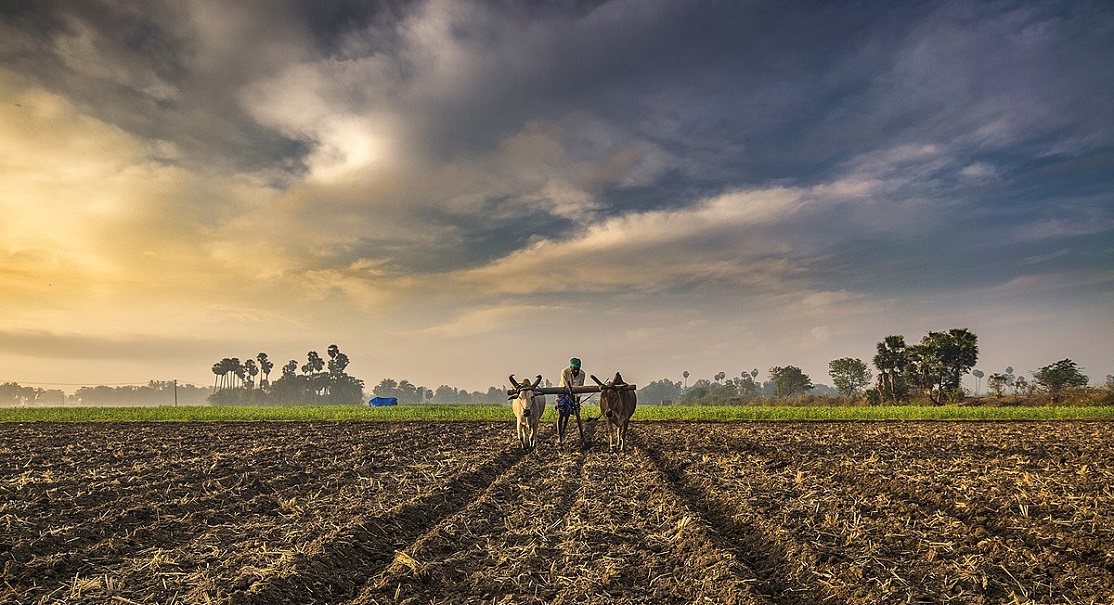 Farming In India | Pic Source: wikimedia