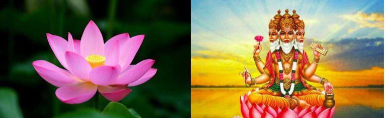 Lotus in Hinduism